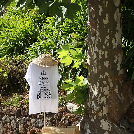 Quinta Da Abelheira *