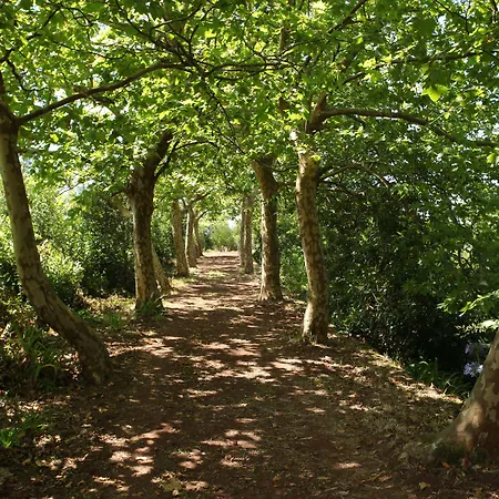 Gospodarstwo agroturystyczne Quinta Da Abelheira *