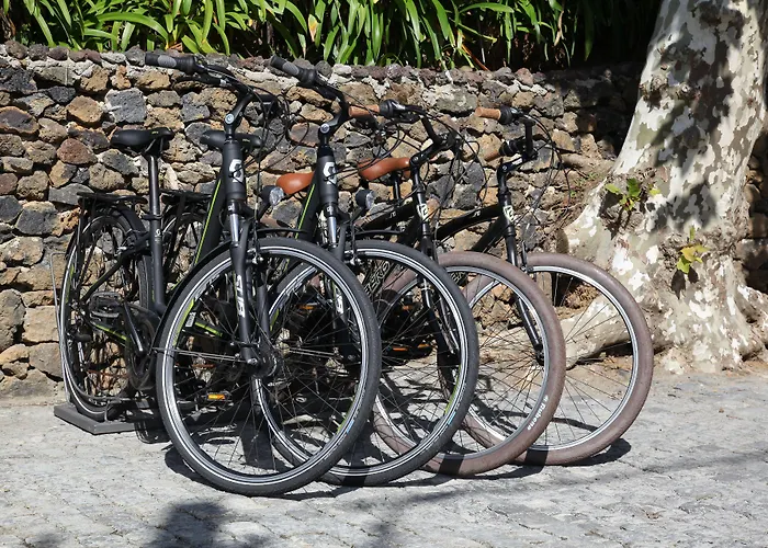 Quinta Da Abelheira * Ponta Delgada (Sao Miguel)